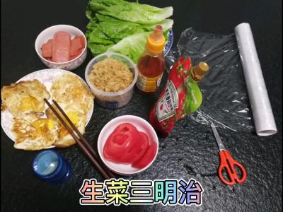 減肥餐的做法-酸甜味其它工藝菜譜