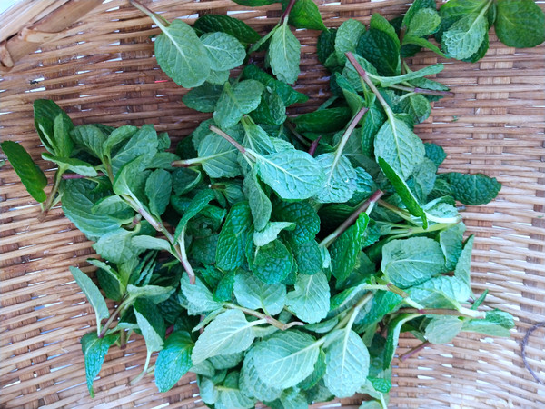 熗拌十香菜的做法-家常味拌菜譜-易網(wǎng)健康養(yǎng)生網(wǎng) 熗拌十香菜的做法-家常味拌菜譜