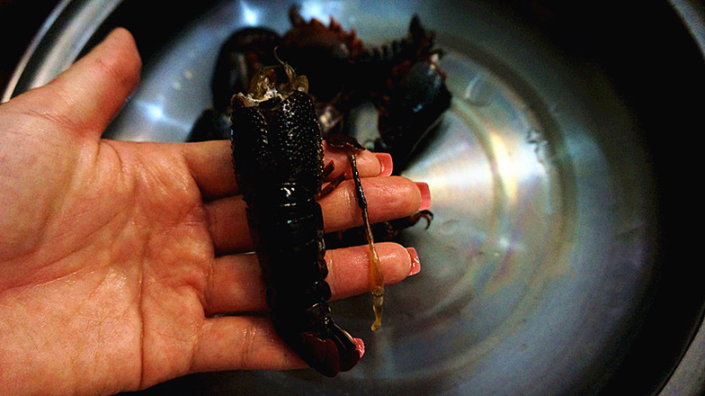 雜炒小龍蝦的做法-香辣味炒菜譜-易網健康養(yǎng)生網 雜炒小龍蝦的做法-香辣味炒菜譜