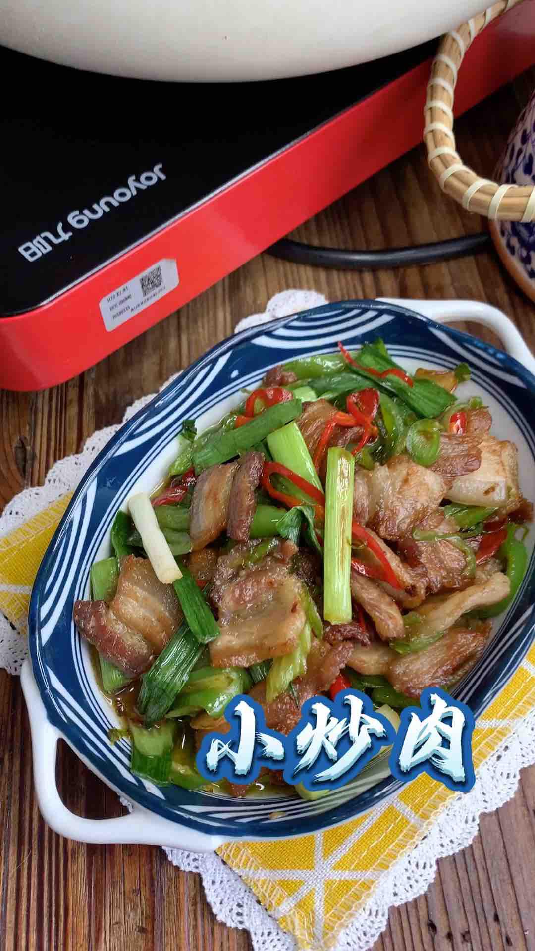 小炒肉 長沙特色菜的做法-家常味炒菜譜