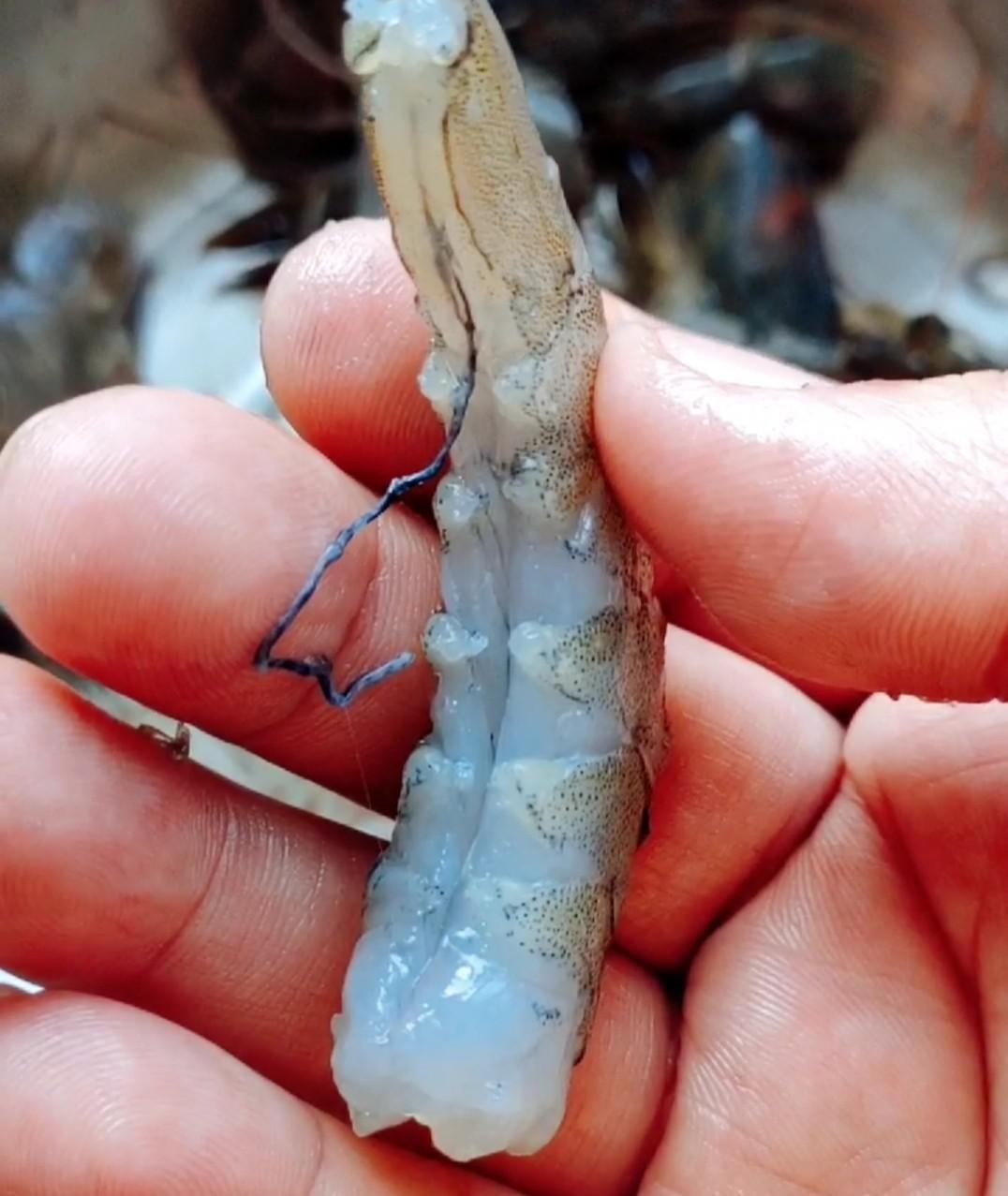 荔枝蝦球的做法-芥末味炸菜譜-易網(wǎng)健康養(yǎng)生網(wǎng) 荔枝蝦球的做法-芥末味炸菜譜