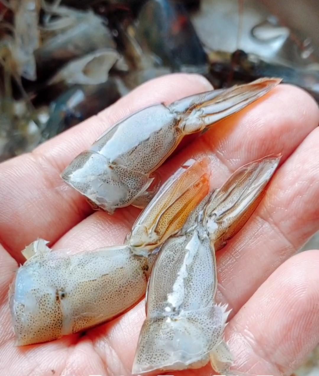 荔枝蝦球的做法-芥末味炸菜譜-易網(wǎng)健康養(yǎng)生網(wǎng) 荔枝蝦球的做法-芥末味炸菜譜