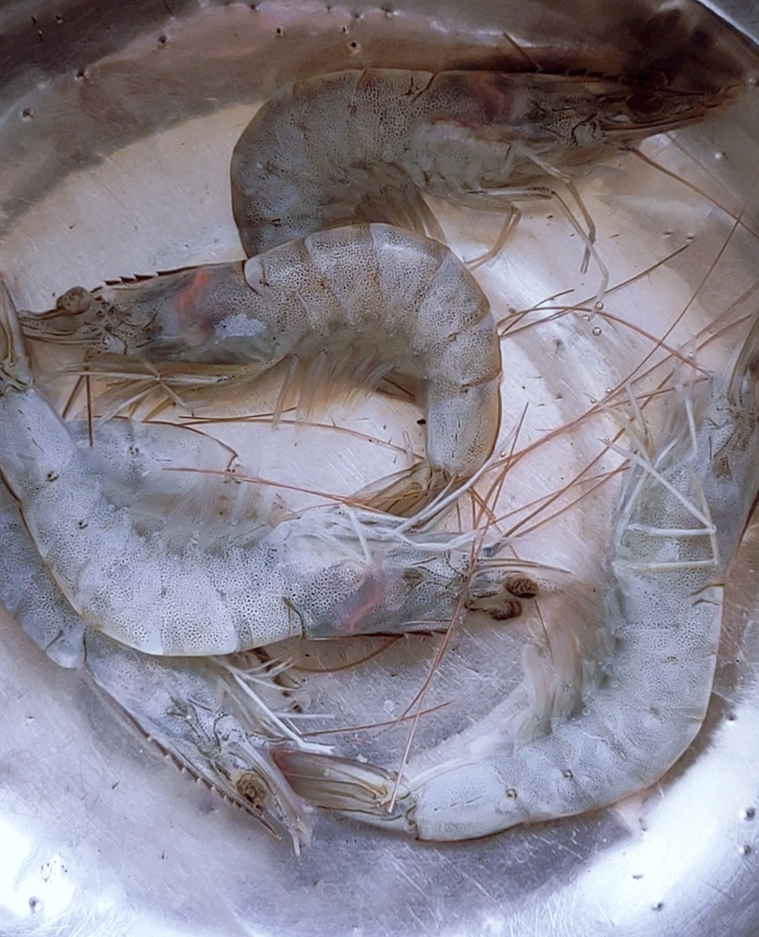 荔枝蝦球的做法-芥末味炸菜譜-易網(wǎng)<a href=http://www.xllyou.com/ target=_blank class=infotextkey>健康養(yǎng)生</a>網(wǎng) 荔枝蝦球的做法-芥末味炸菜譜