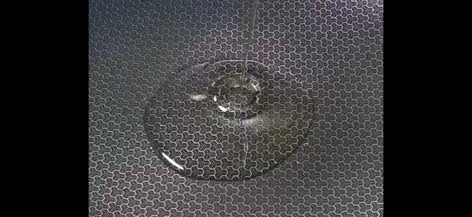 烤箱版烤魚的做法-家常味烤菜譜