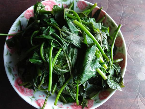 蘸水紅薯尖的做法-香辣味其它工藝菜譜