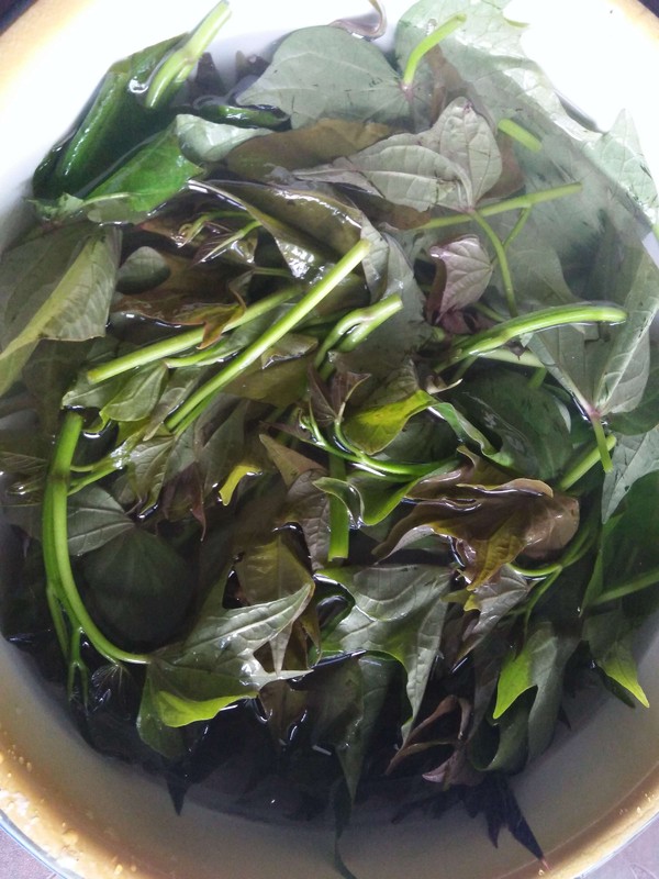 蘸水紅薯尖的做法-香辣味其它工藝菜譜