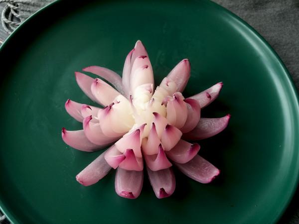 把洋蔥變成荷花的“魔術”的做法-其它口味其它工藝菜譜