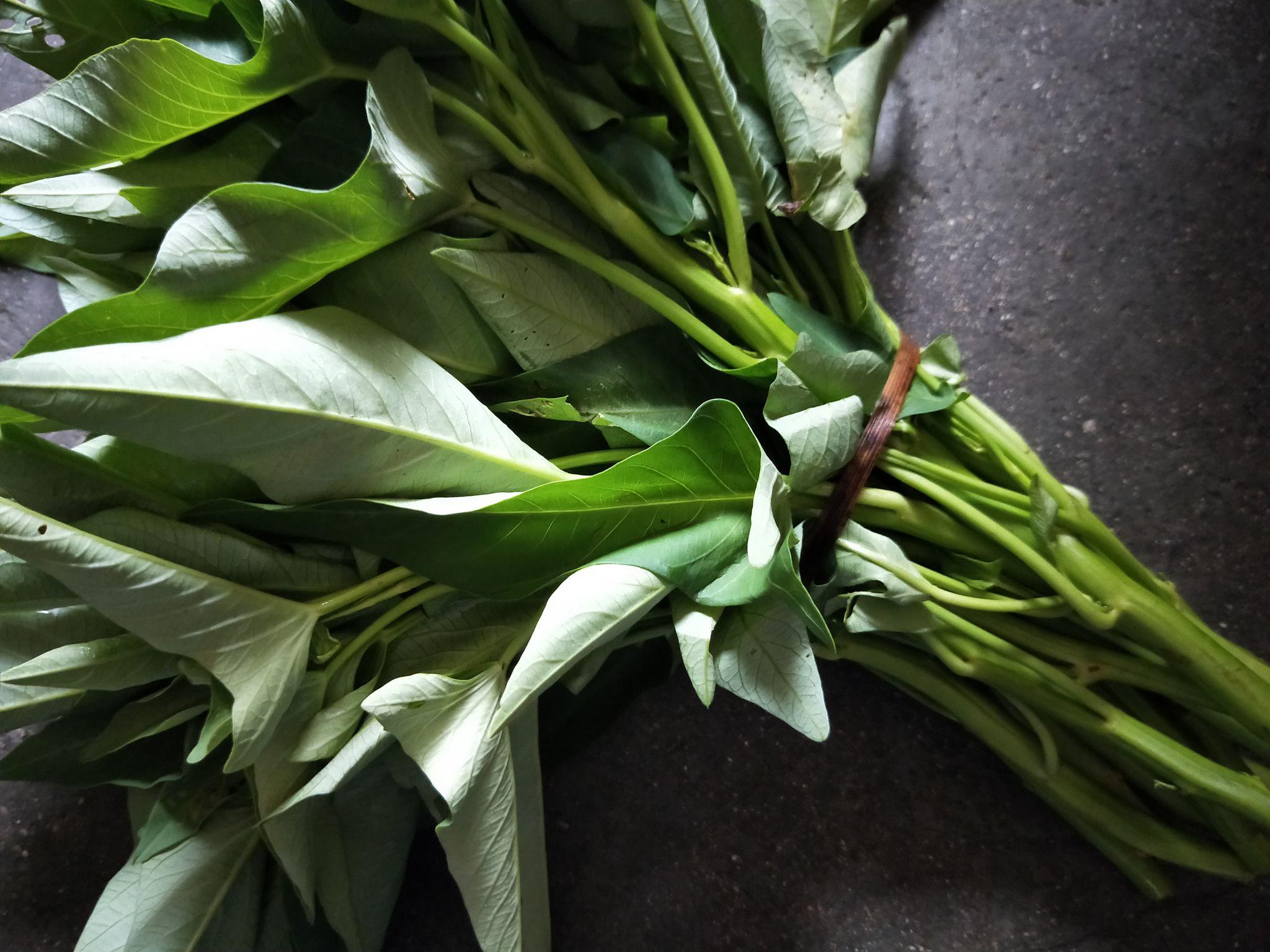 清炒空心菜的做法-家常味炒菜譜