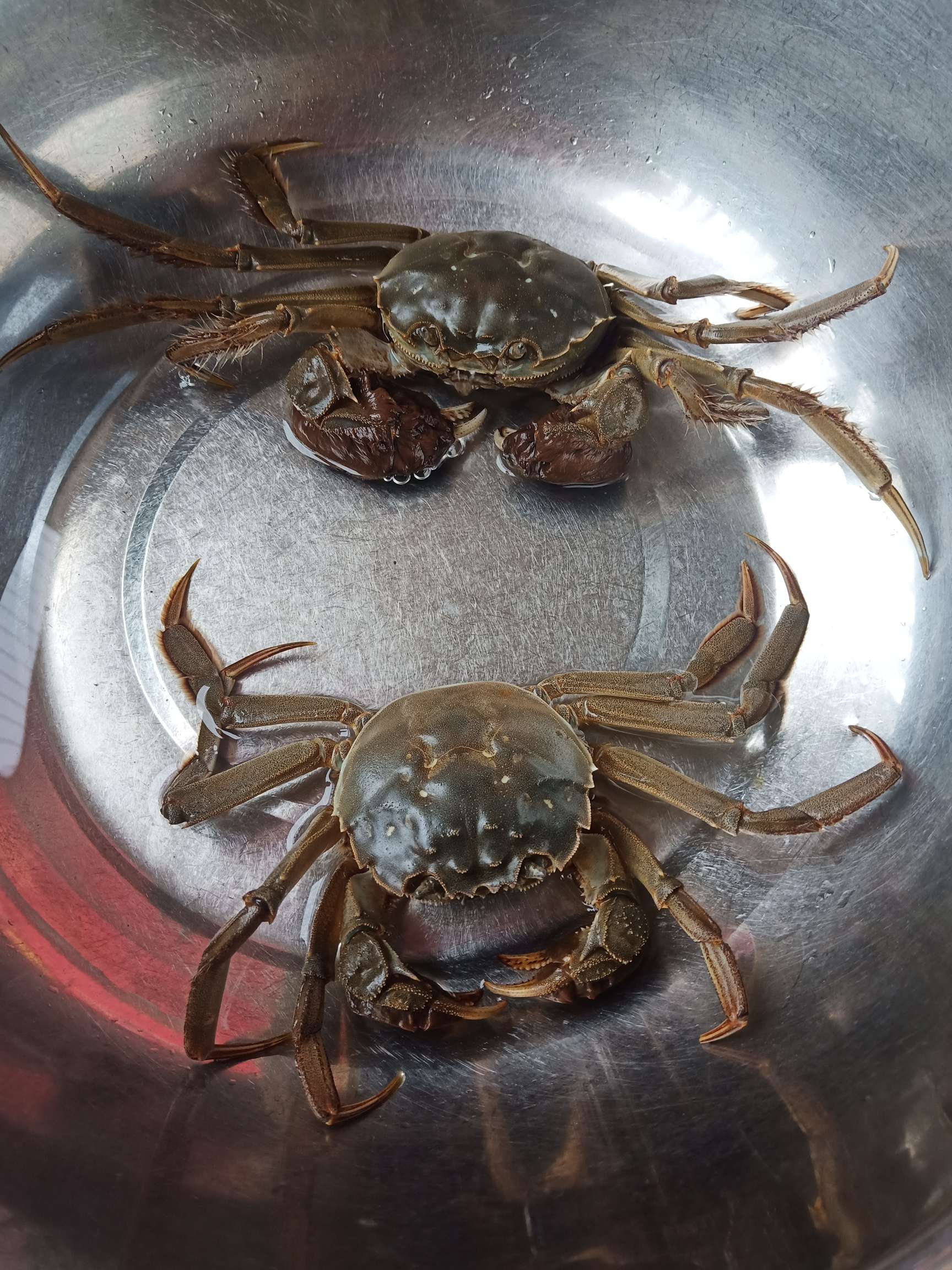 螃蟹蒸黑米的做法-咸鮮味蒸菜譜