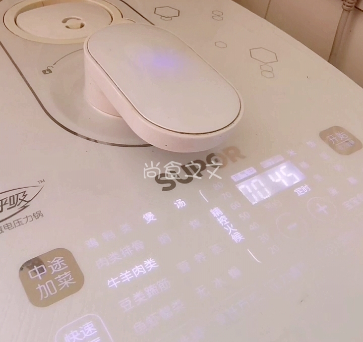 砂鍋番茄牛腩的做法-酸甜味燉菜譜