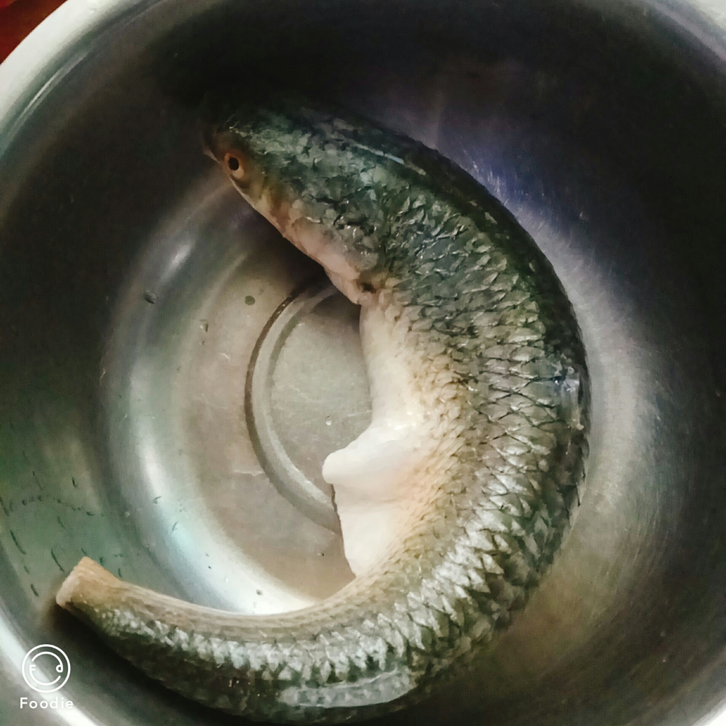 清蒸魚的做法-家常味蒸菜譜