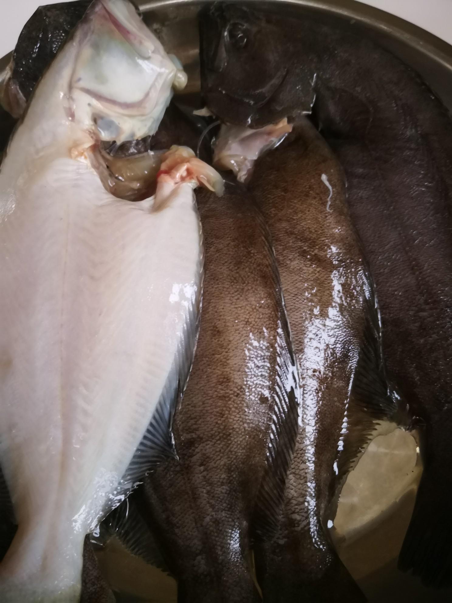 紅燒比目魚的做法-家常味燒菜譜