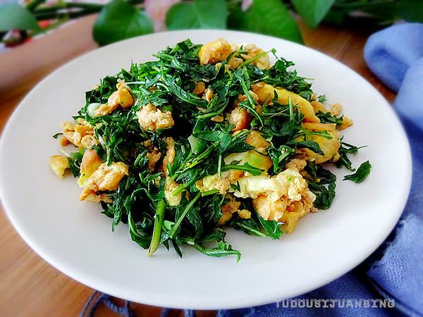 婆婆丁炒雞蛋的做法-咸鮮味炒菜譜