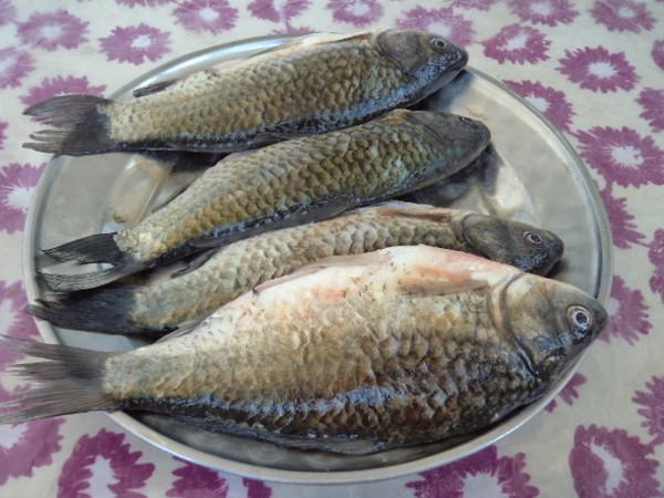 豆腐燒鯽魚的做法-咸鮮味燒菜譜