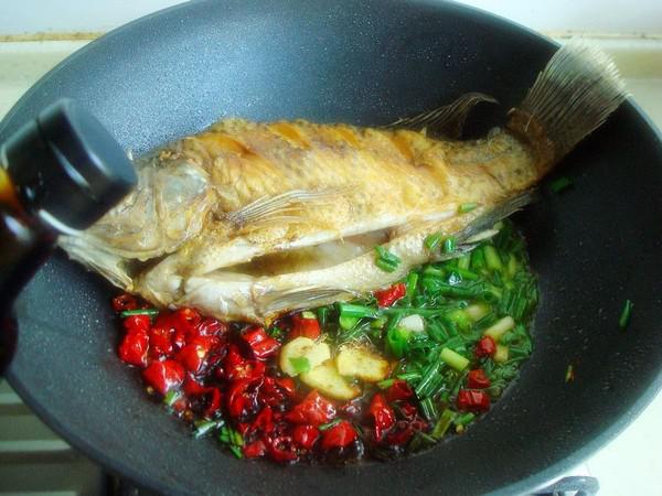 干燒羅非魚的做法-咸鮮味燒菜譜