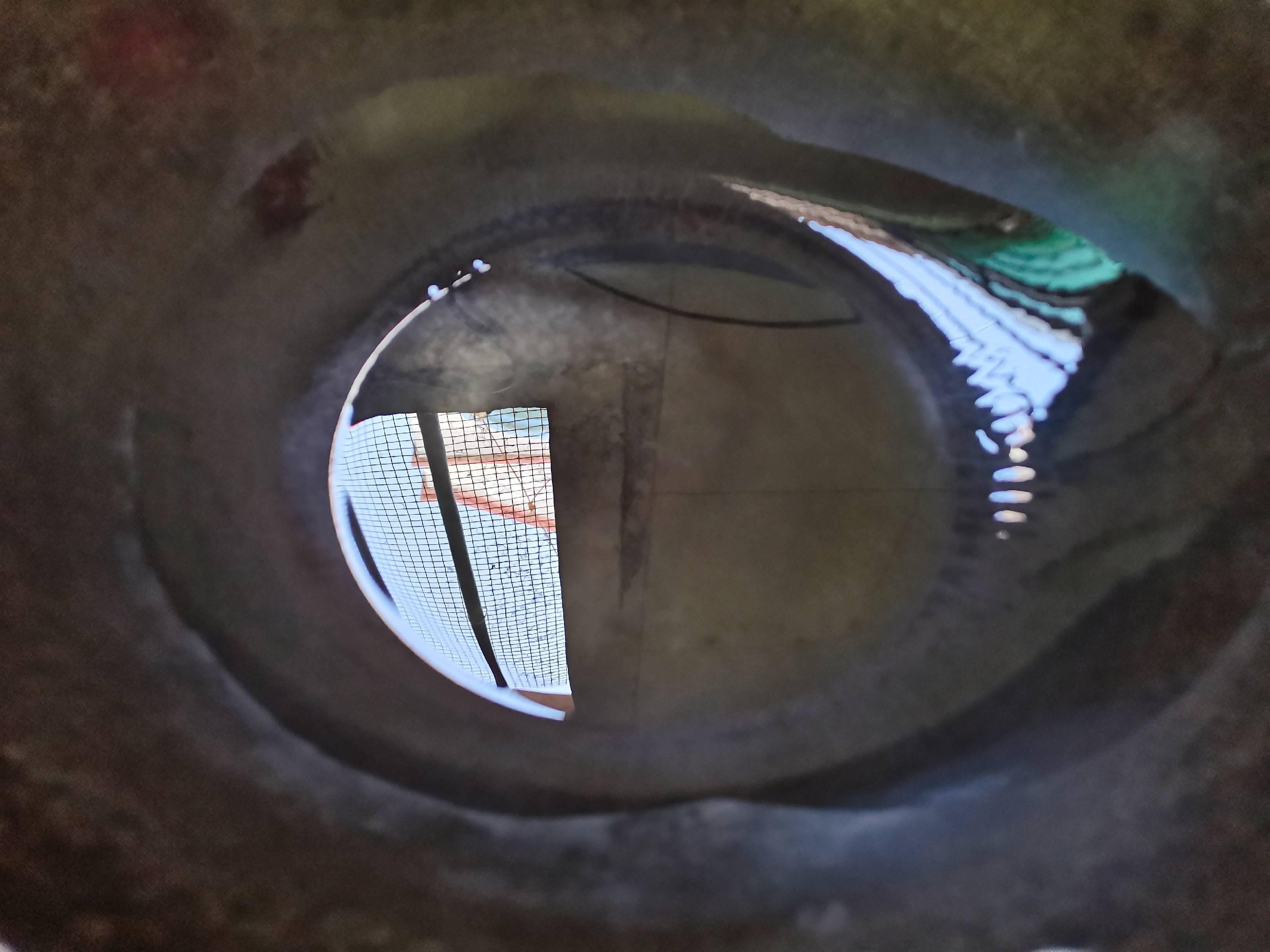 洋蔥炒蛋的做法-家常味炒菜譜