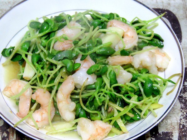 蝦仁炒豆苗的做法-家常味炒菜譜-易網健康養生網 蝦仁炒豆苗的做法-家常味炒菜譜