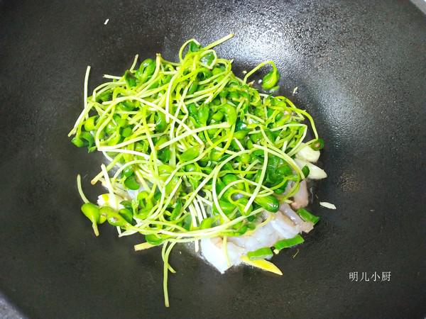 蝦仁炒豆苗的做法-家常味炒菜譜-易網健康養生網 蝦仁炒豆苗的做法-家常味炒菜譜