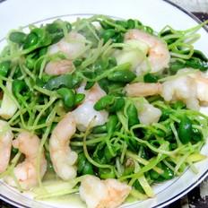 蝦仁炒豆苗的做法-家常味炒菜譜