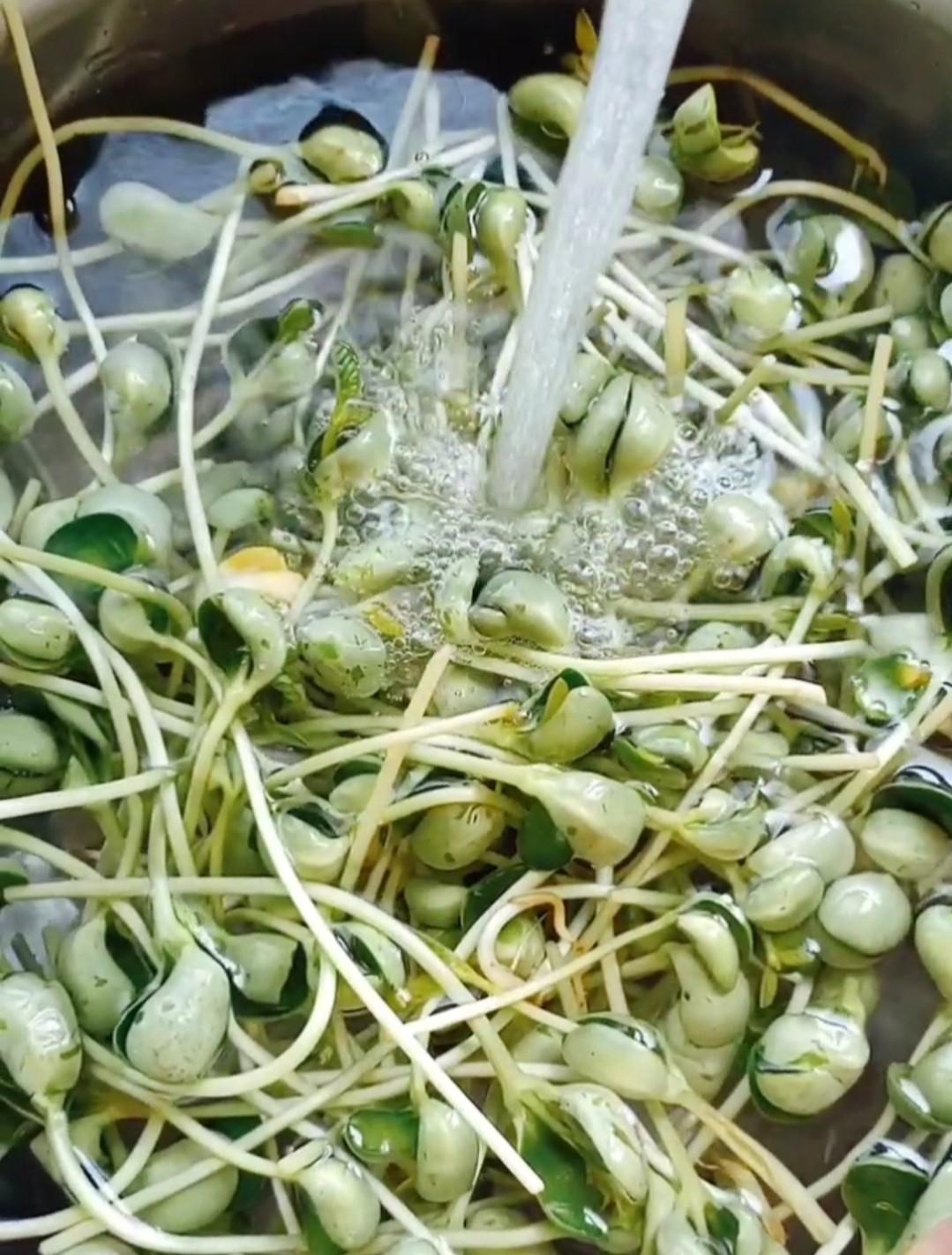 鳳尾雀巢的做法-咸鮮味炒菜譜-易網<a href=http://www.xllyou.com/ target=_blank class=infotextkey>健康養生</a>網 鳳尾雀巢的做法-咸鮮味炒菜譜