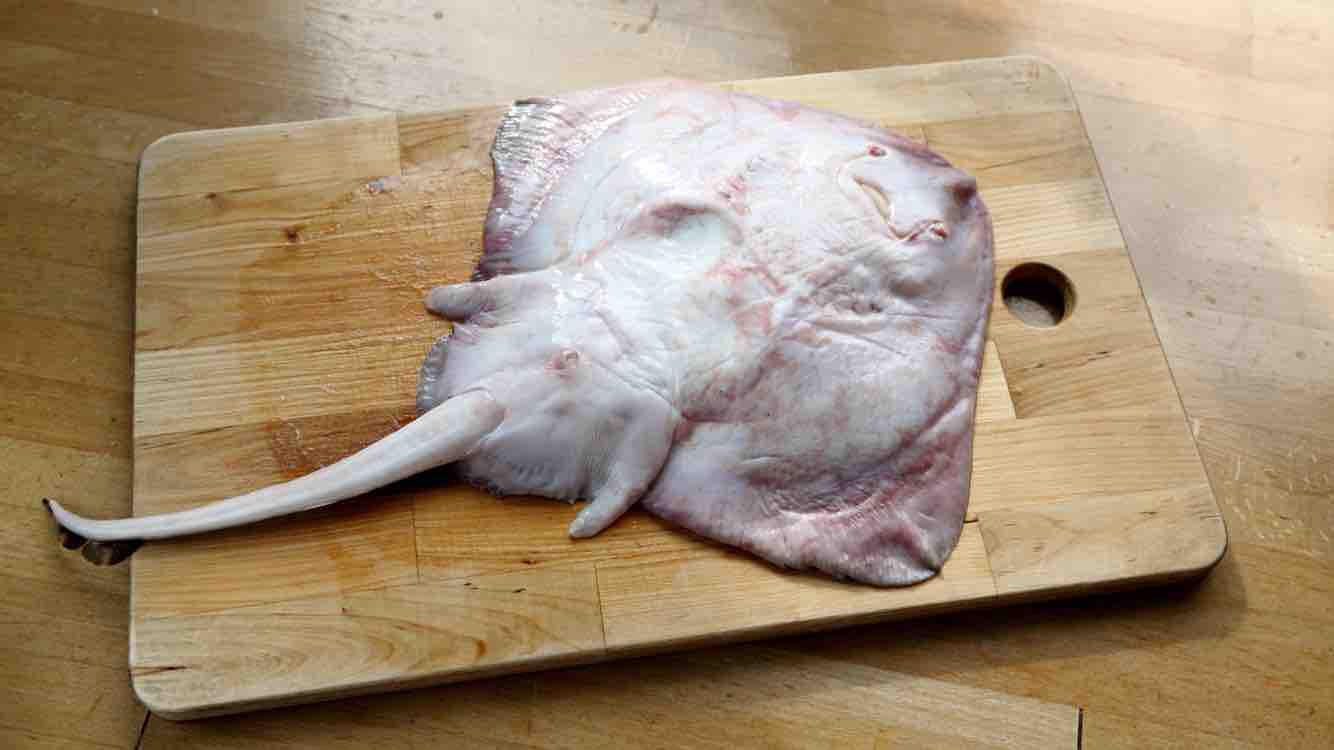 清蒸老板魚的做法-家常味蒸菜譜-易網健康養生網 清蒸老板魚的做法-家常味蒸菜譜