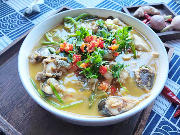 鯰魚燒豆腐的做法-咸鮮味燒菜譜-易網健康養生網 鯰魚燒豆腐的做法-咸鮮味燒菜譜