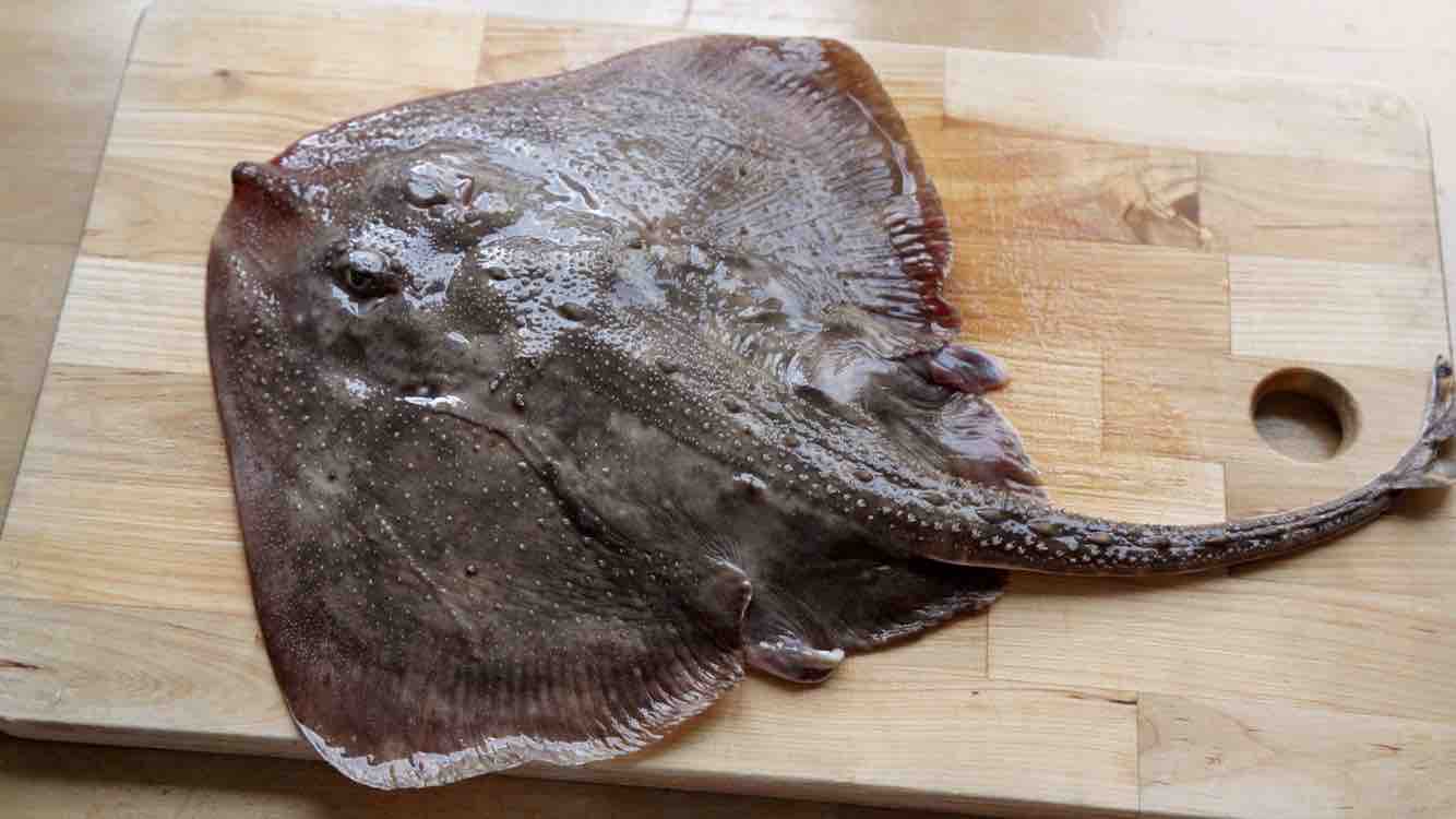 清蒸老板魚的做法-家常味蒸菜譜-易網<a href=http://www.xllyou.com/ target=_blank class=infotextkey>健康養生</a>網 清蒸老板魚的做法-家常味蒸菜譜