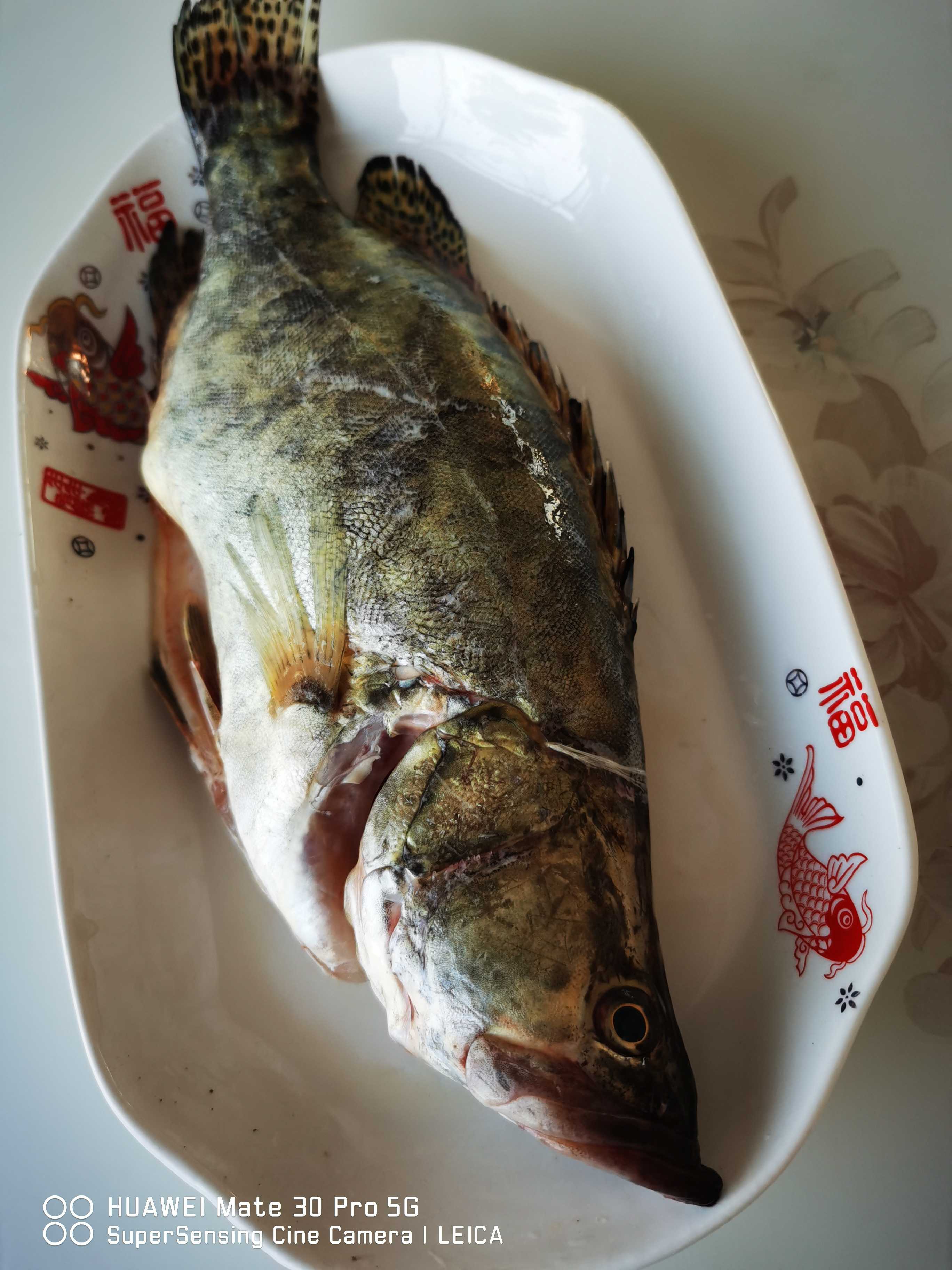 家常蒸桂魚的做法-咸鮮味蒸菜譜-易網<a href=http://www.xllyou.com/ target=_blank class=infotextkey>健康養生</a>網 家常蒸桂魚的做法-咸鮮味蒸菜譜