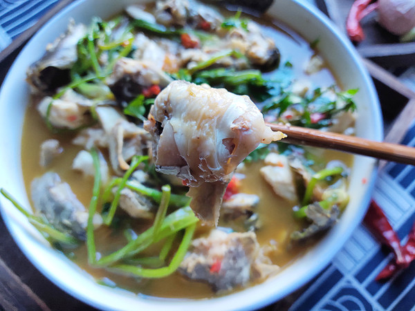 鯰魚燒豆腐的做法-咸鮮味燒菜譜-易網健康養生網 鯰魚燒豆腐的做法-咸鮮味燒菜譜