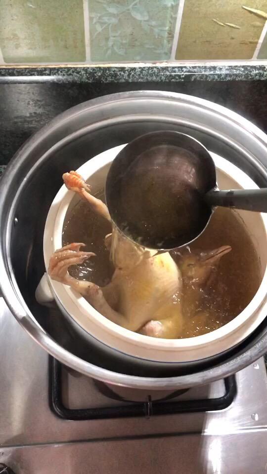 鮮甜美味的鴿子湯,這樣做滋補又養顏,冬天必備養生飲品!的做法-家常味燉菜譜-易網健康養生網 鮮甜美味的鴿子湯,這樣做滋補又養顏,冬天必備養生飲品!的做法-家常味燉菜譜