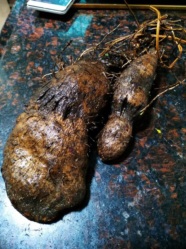 家鄉(xiāng)的美食~~臘肉大暑煲的做法-家常味煲菜譜