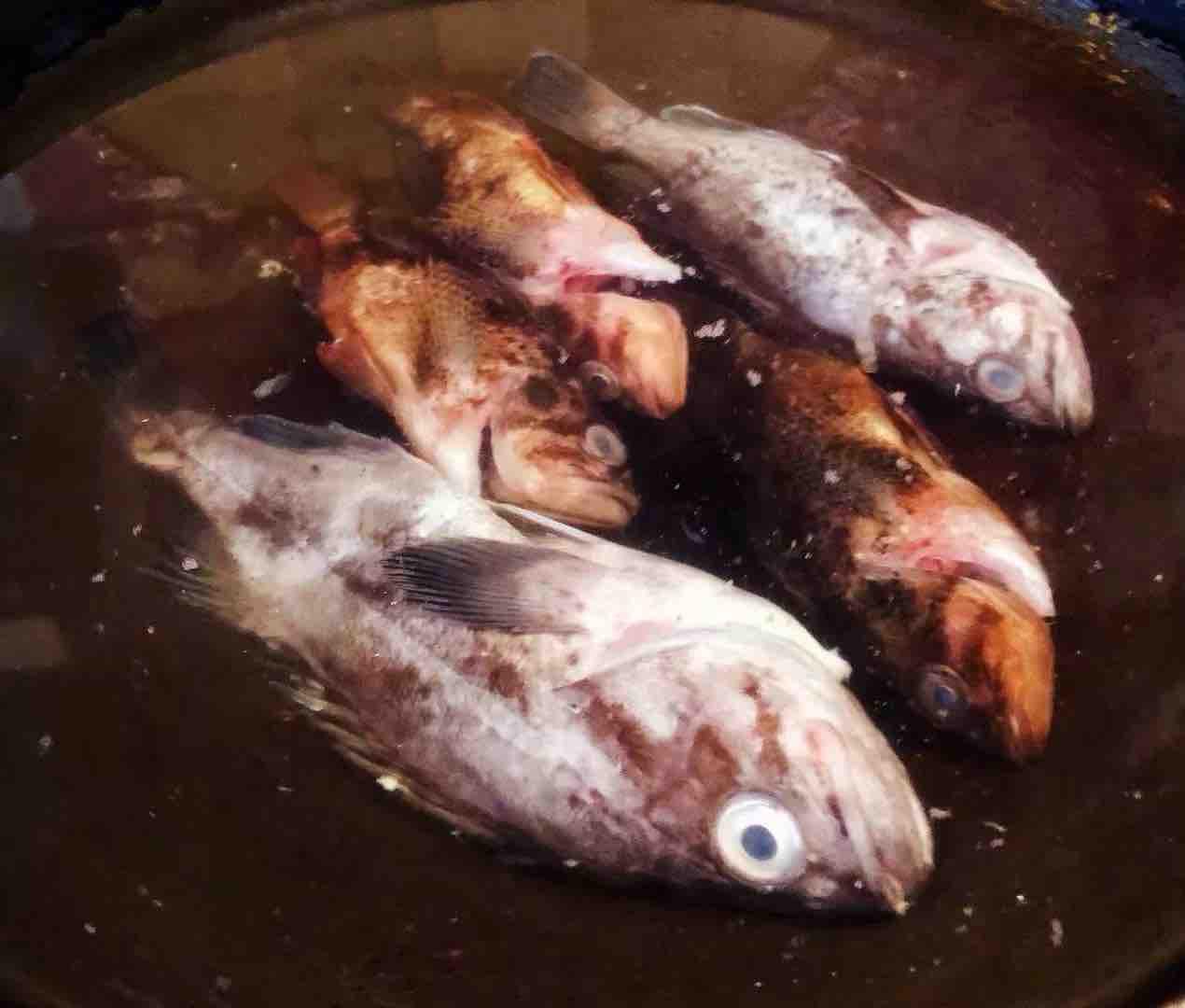 黑魚豆腐湯的做法-家常味煮菜譜