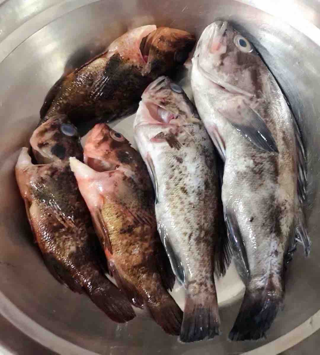 黑魚豆腐湯的做法-家常味煮菜譜