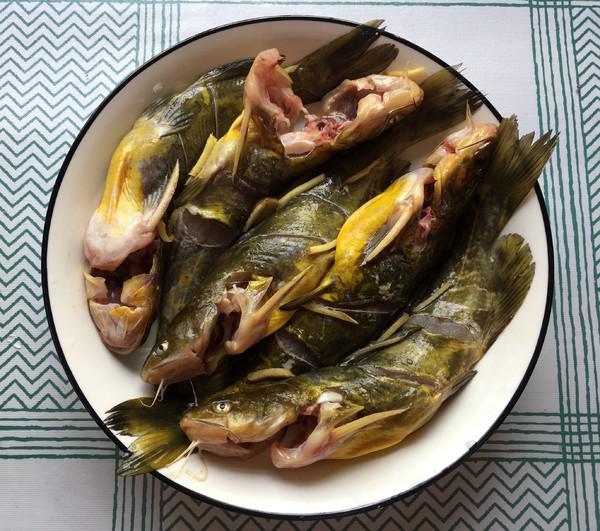 老干媽蒸黃骨魚的做法-香辣味蒸菜譜