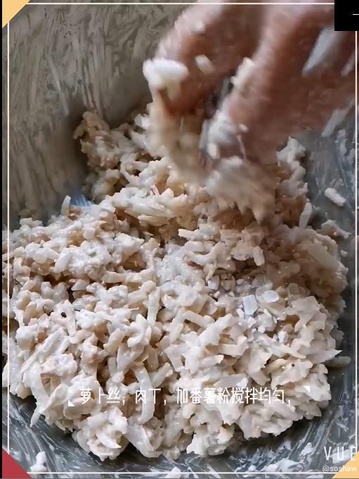 蘿卜絲餅的做法-家常味煎菜譜