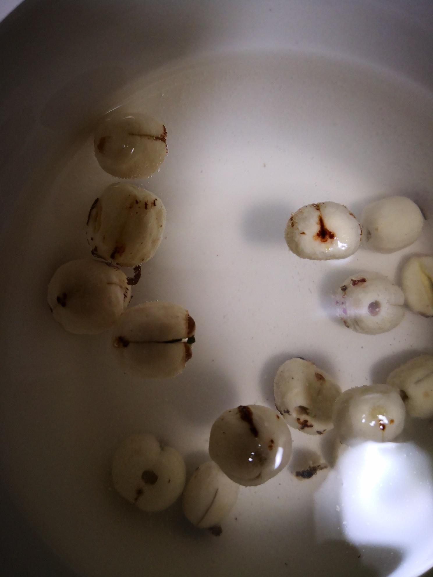 蓮子牛肉羹的做法-家常味榨汁菜譜