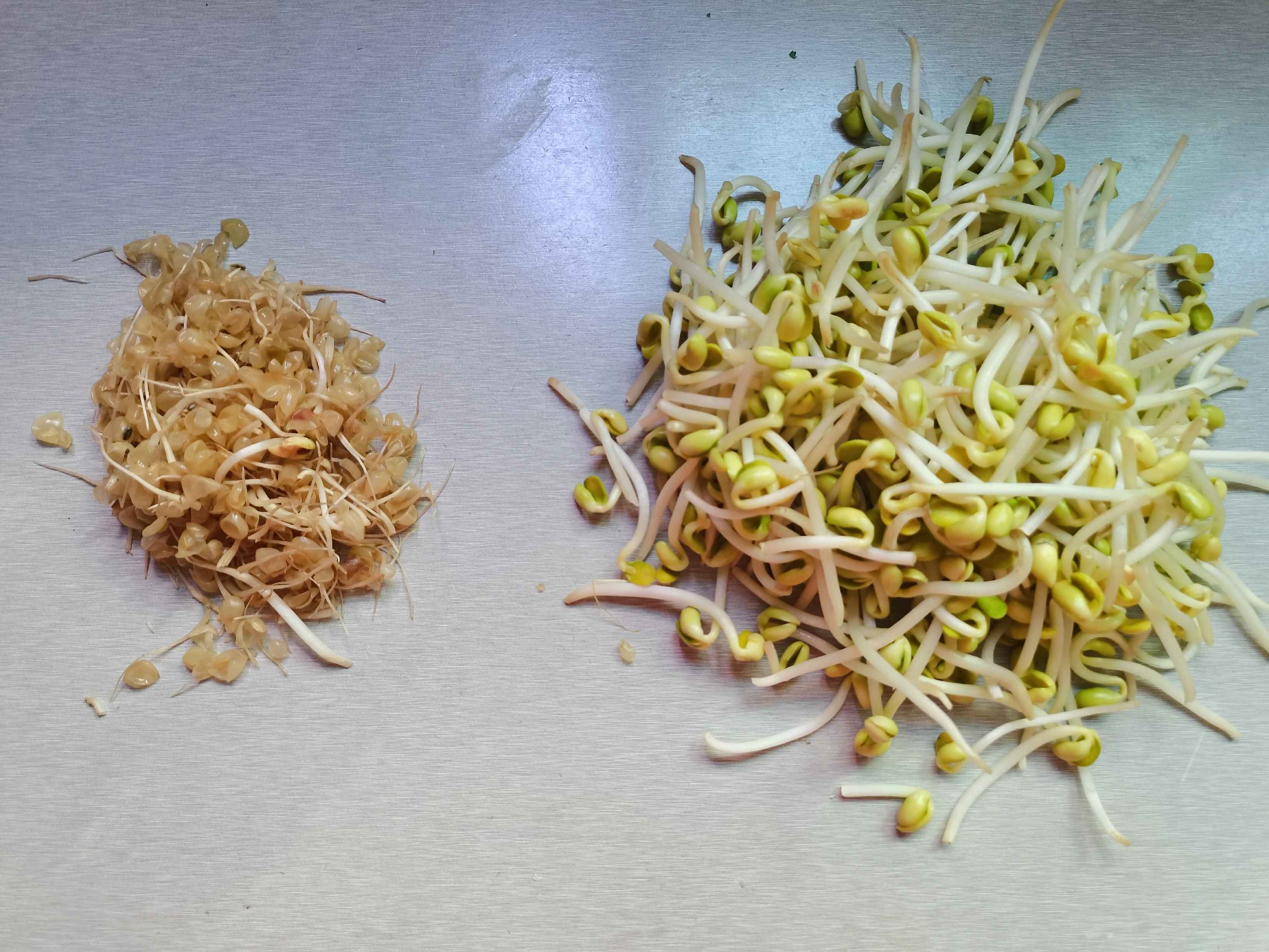 家常菜“清炒黃豆芽”的做法-家常味炒菜譜-易網(wǎng)健康養(yǎng)生網(wǎng) 家常菜“清炒黃豆芽”的做法-家常味炒菜譜