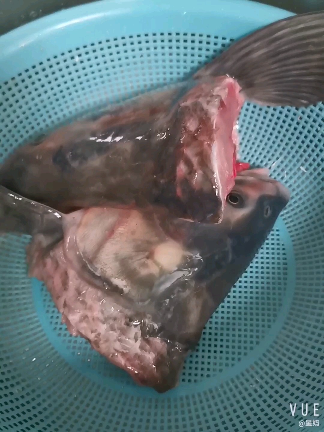 粉條燉青魚頭的做法-家常味燒菜譜-易網<a href=http://www.xllyou.com/ target=_blank class=infotextkey>健康養生</a>網 粉條燉青魚頭的做法-家常味燒菜譜