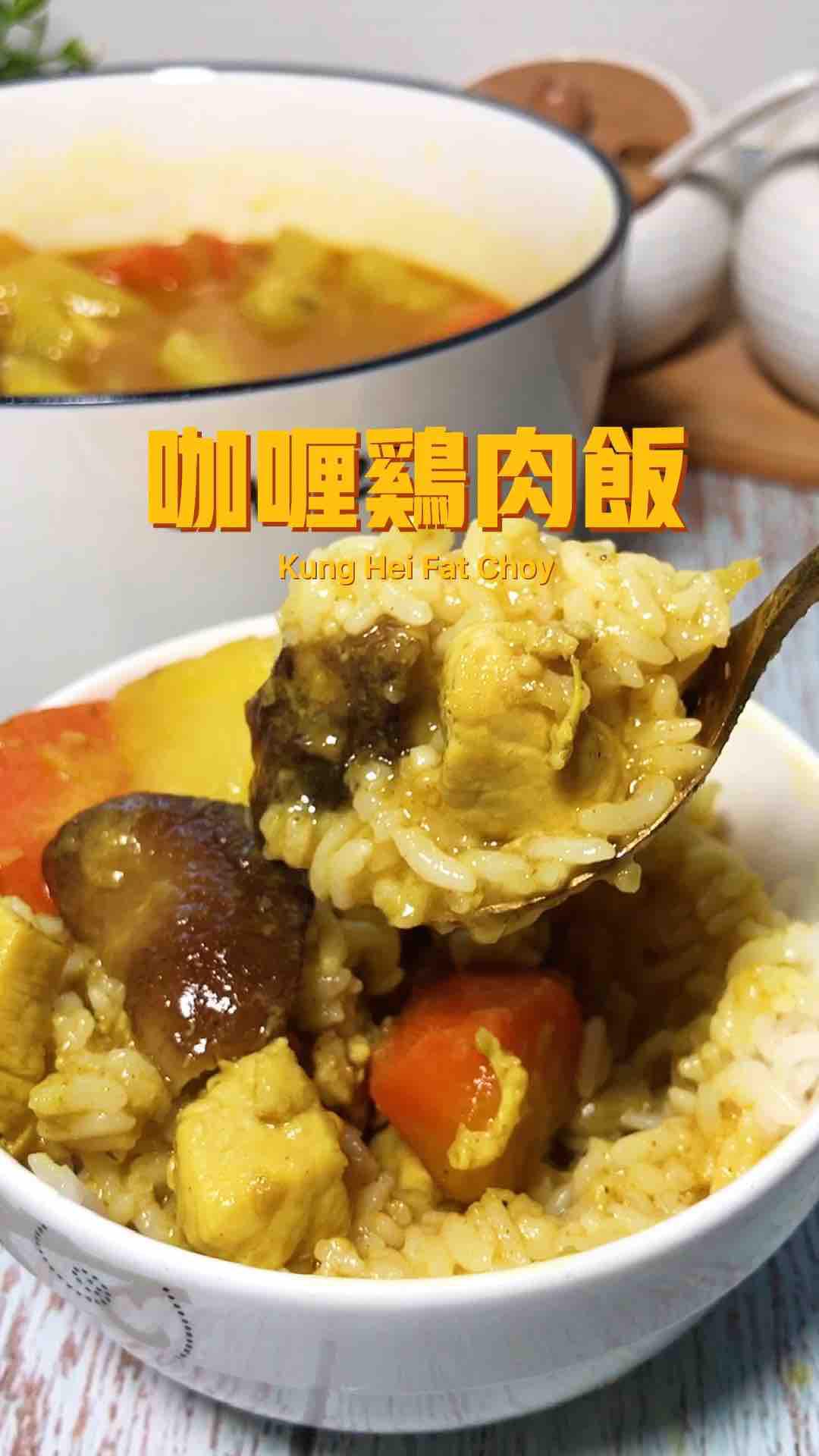 咖喱雞肉飯的做法-咖喱味煮菜譜