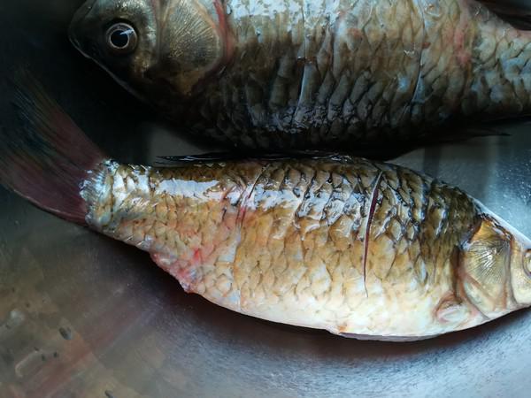 白蘿卜鯽魚湯的做法-咸鮮味燉菜譜-易網(wǎng)<a href=http://www.xllyou.com/ target=_blank class=infotextkey>健康養(yǎng)生</a>網(wǎng) 白蘿卜鯽魚湯的做法-咸鮮味燉菜譜