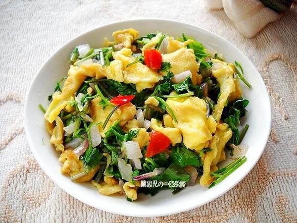 芫荽炒雞蛋的做法-家常味炒菜譜-易網(wǎng)健康養(yǎng)生網(wǎng) 芫荽炒雞蛋的做法-家常味炒菜譜