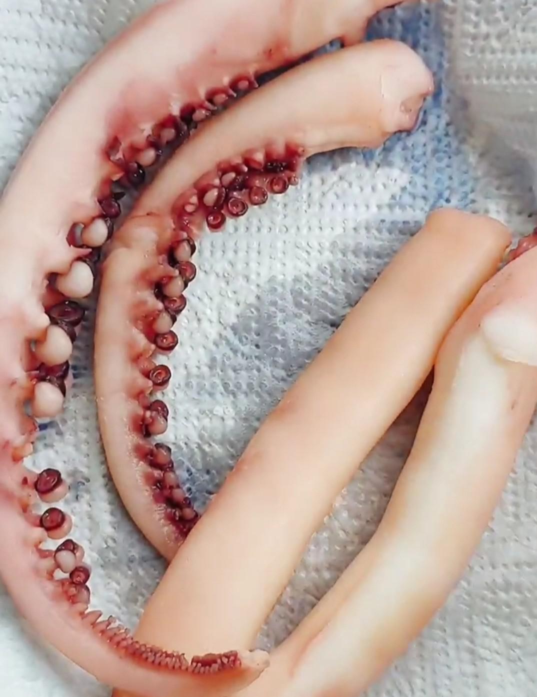 低溫慢煮章魚足的做法-其它口味煮菜譜