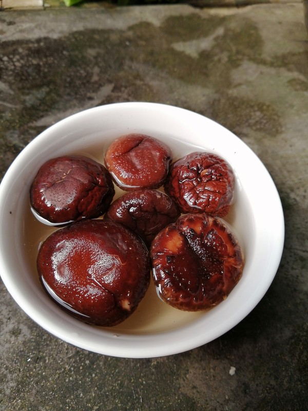 簡簡單單也不失美味~~冬菇蒸肉丸的做法-家常味蒸菜譜-易網(wǎng)<a href=http://www.xllyou.com/ target=_blank class=infotextkey>健康養(yǎng)生</a>網(wǎng) 簡簡單單也不失美味~~冬菇蒸肉丸的做法-家常味蒸菜譜