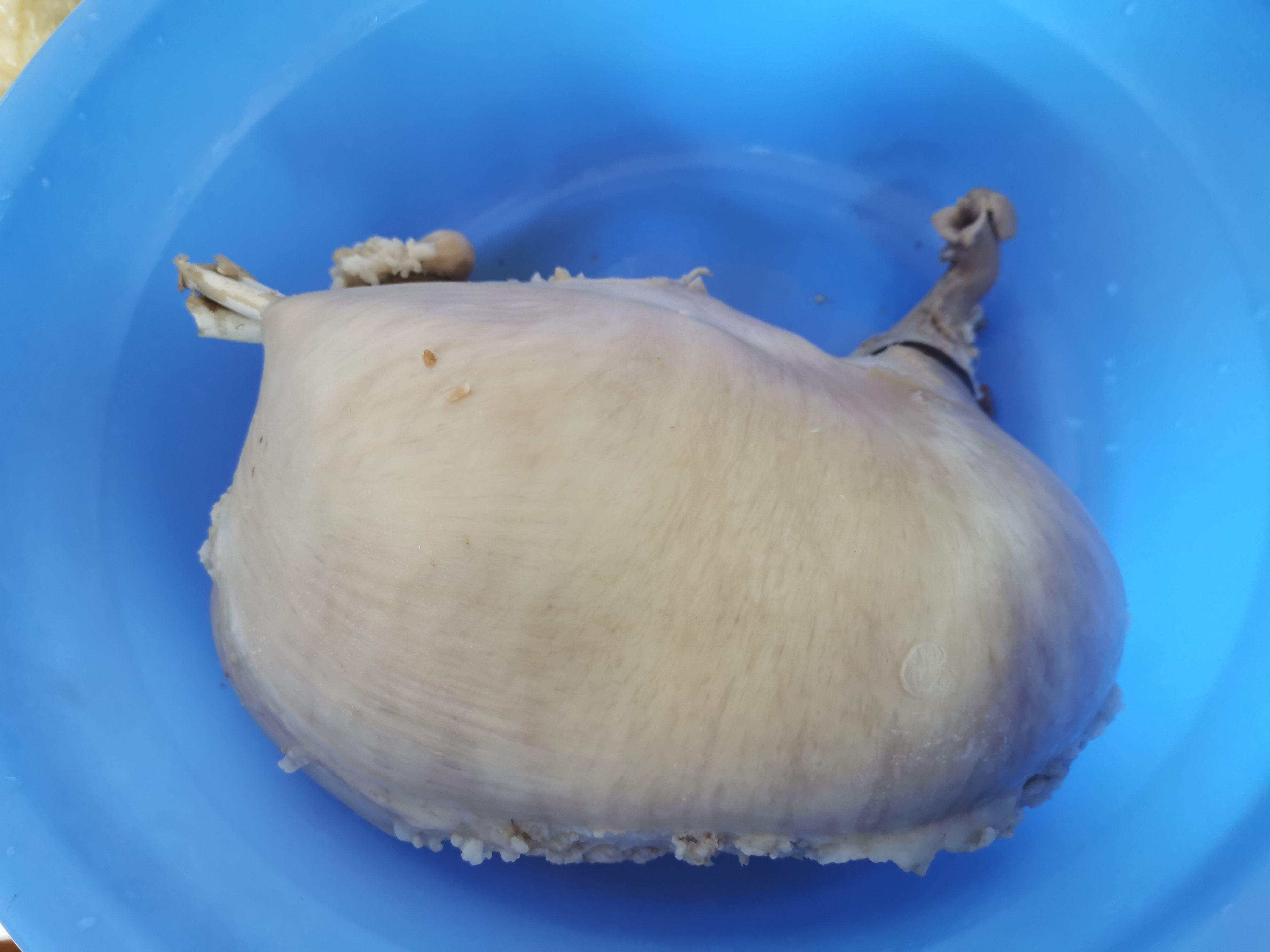 豬肚雞煲（鳳投胎版）的做法-咸鮮味煲菜譜