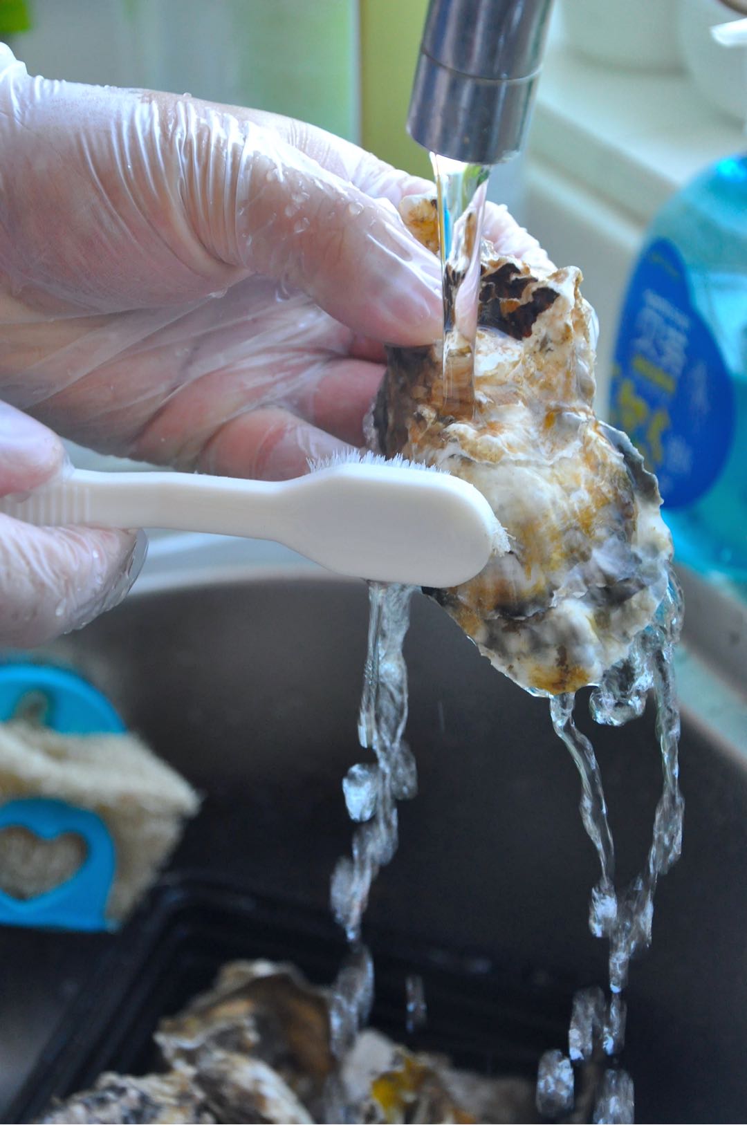 今日美食～白灼生蠔的做法-蒜香味蒸菜譜