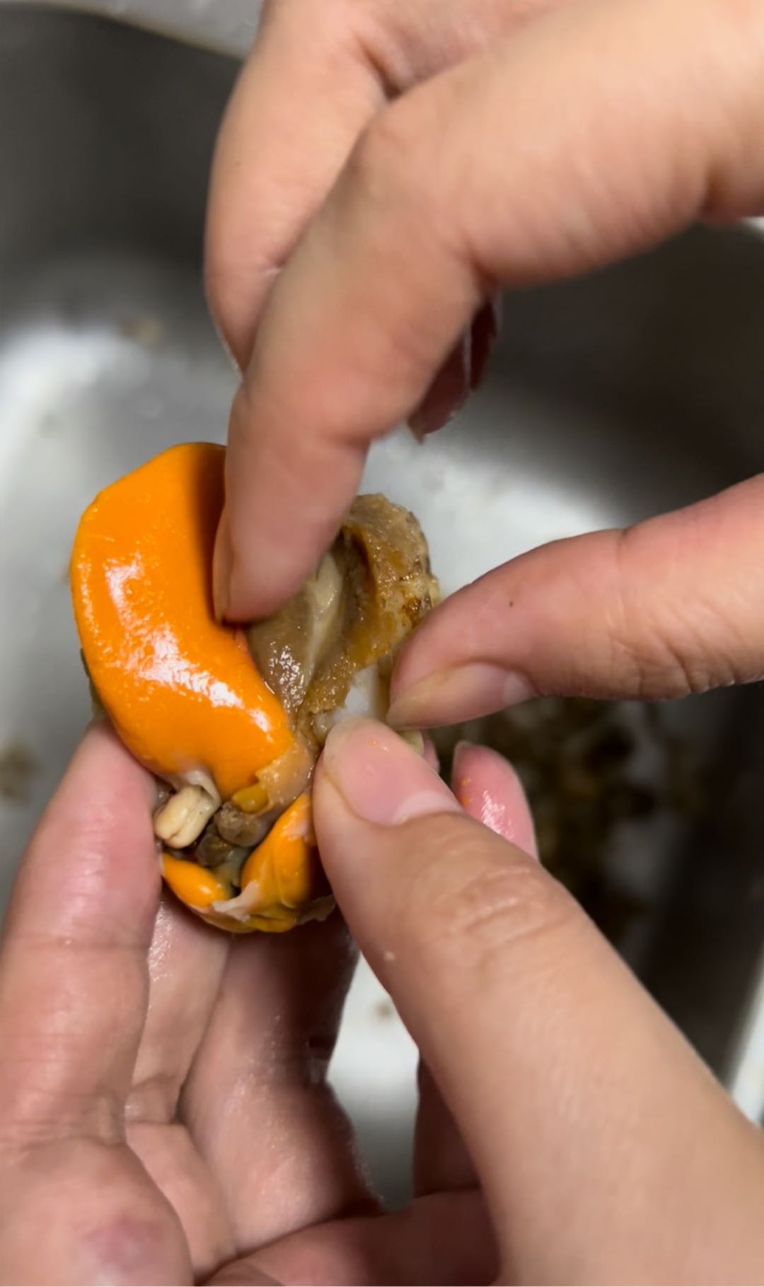 麻辣撈汁扇貝—低辣版的做法-麻辣味拌菜譜