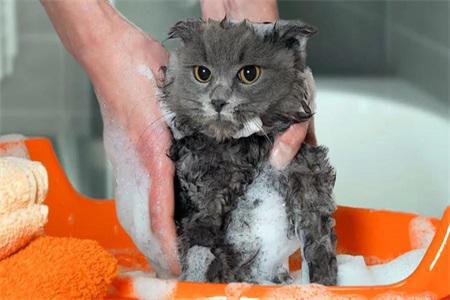 七個護膚小常識,重新定義你和護膚的親密關系 七個護膚小常識,重新定義你和護膚的親密關系