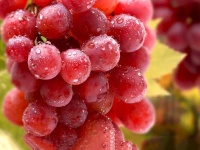 提子的功效與作用,美容護膚!