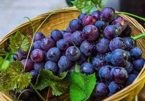 常吃這3款紫色食物 養顏抗衰老-易網<a href=http://www.xllyou.com/ target=_blank class=infotextkey>健康養生</a>網 常吃這3款紫色食物 養顏抗衰老