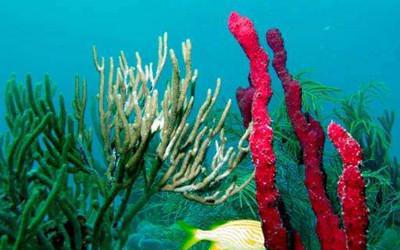 防曬噴霧怎么用才正確?防曬的常見問題解答